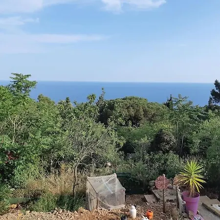 De Au Mont St Clair Vue Exceptionnelle Et Foret Terrasses, Piscine, Petanque, Solarium Prives 公寓 塞特港
